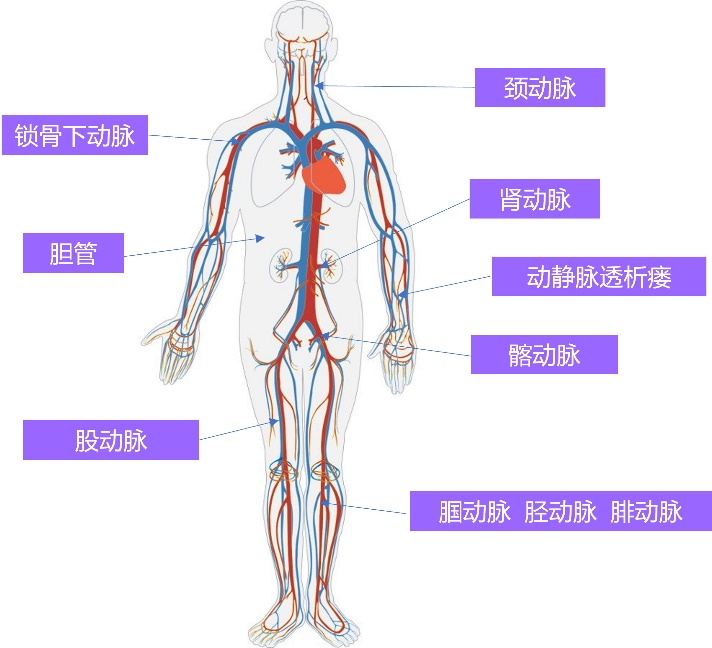 &#20048;&#31454;&#23448;&#32593;&#45;&#20048;&#31454;&#40;&#20013;&#22269;&#41;&#19968;&#31449;&#24335;&#20307;&#32946;&#26381;&#21153;